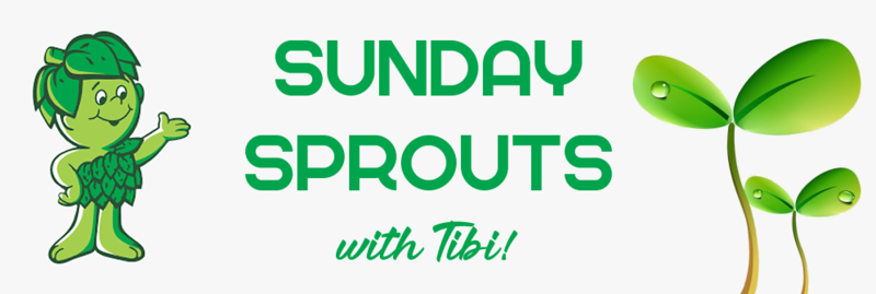 Banner Image for Sunday Sprouts