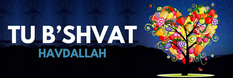 Banner Image for Tu B'Shvat Havdallah