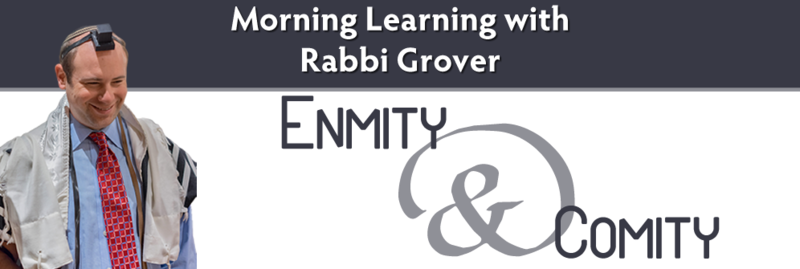 Banner Image for Morning Learning with Rabbi Grover: Enmity & Comity