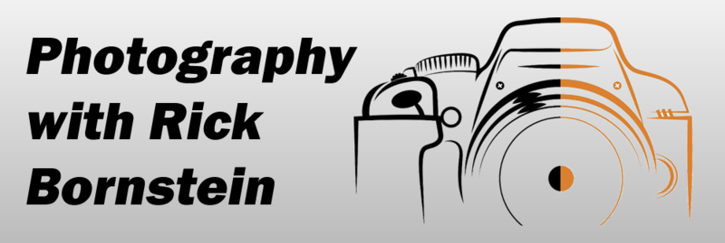Banner Image for Photography with Rick Bornstein